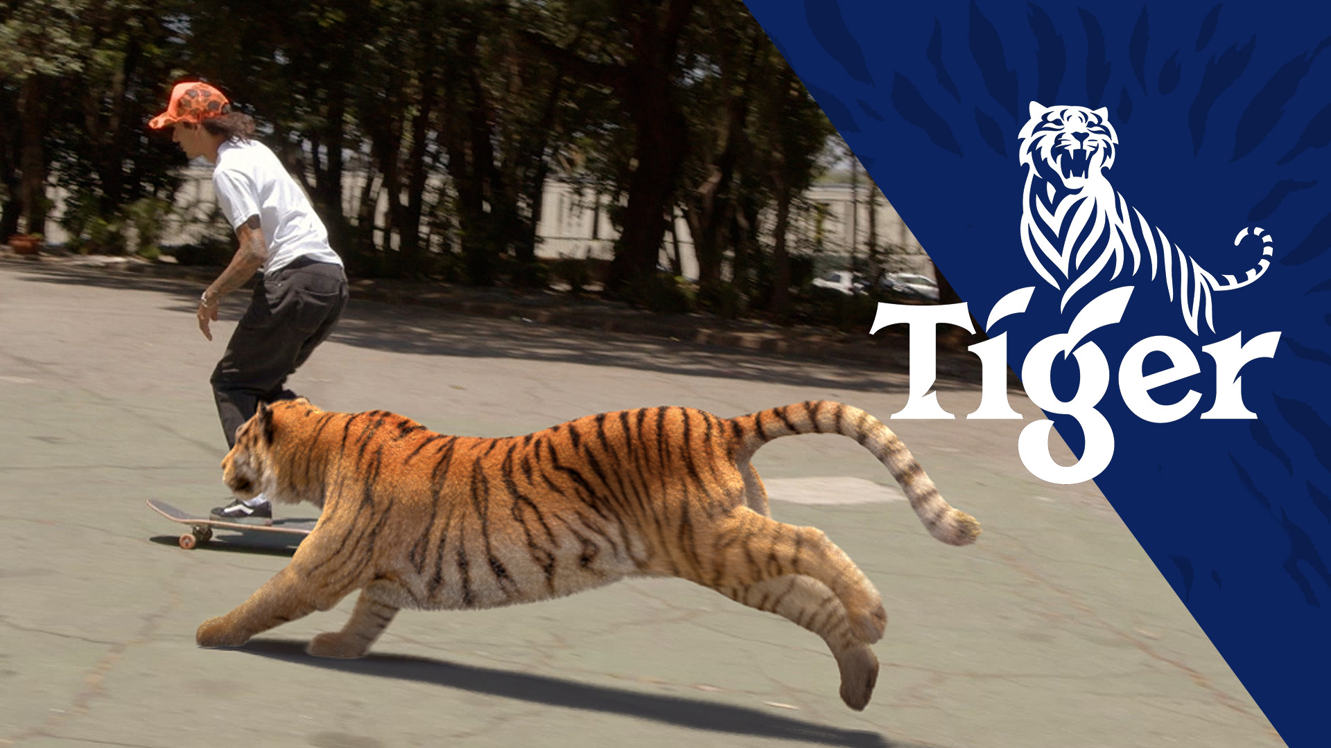 Tiger SLS FOOH